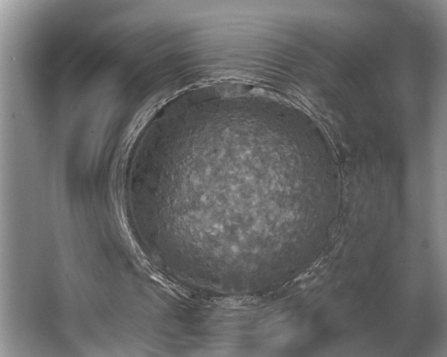 X0000063510241200601201446