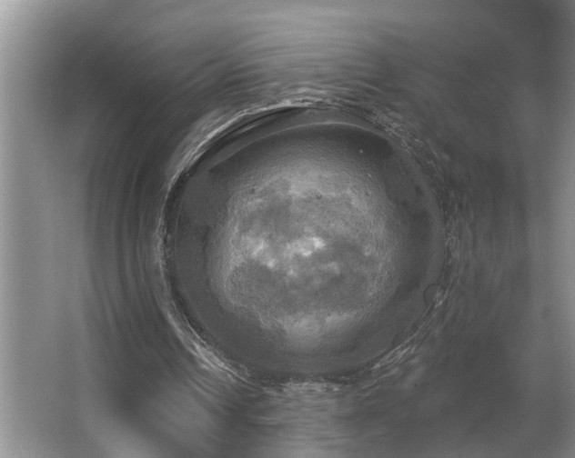 X0000063510242200601201446