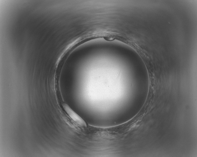 X0000063510244200601201446