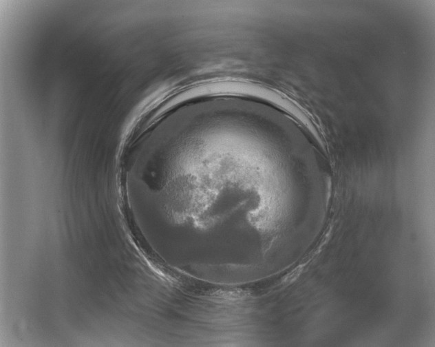 X0000063510245200601201446