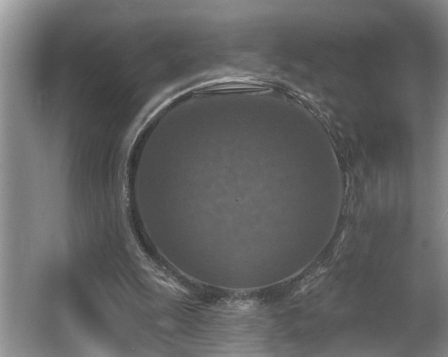 X0000063510247200601201446