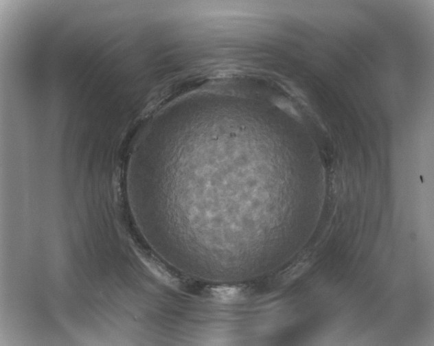 X0000063510265200601201446