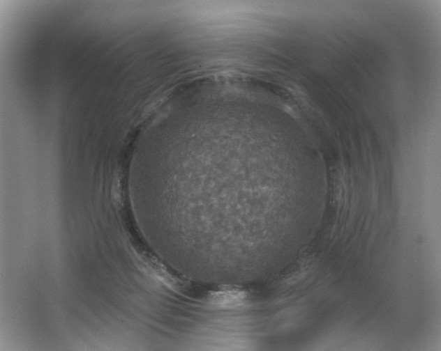 X0000063510266200601201446