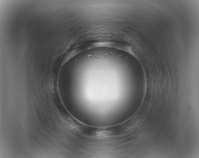 X0000063510268200601201446