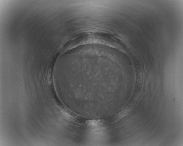 X0000063510273200601201447