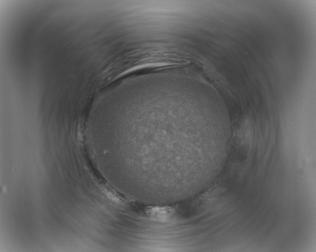 X0000063510277200601201447