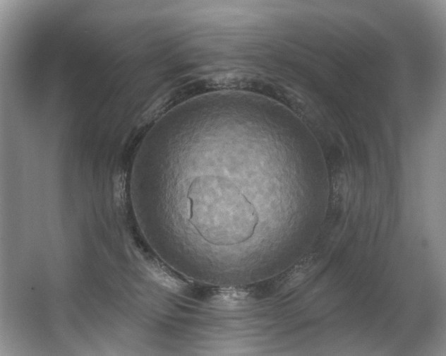 X0000063510278200601201447