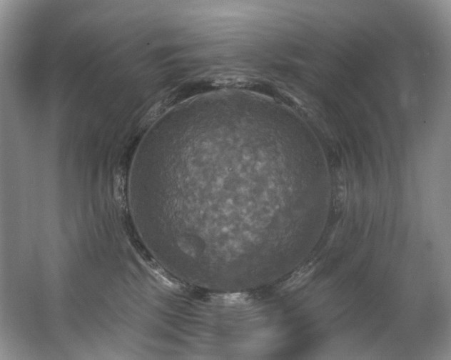 X0000063510281200601201447