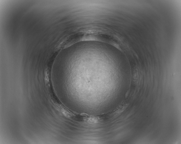 X0000063510282200601201447