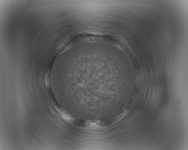 X0000063510285200601201447