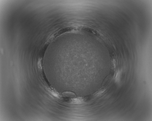 X0000063510286200601201447
