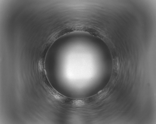X0000063510287200601201447