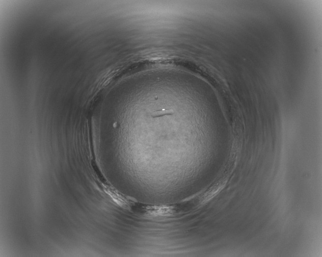 X0000063510288200601201447