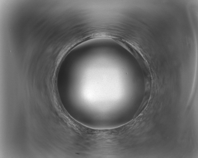 X0000063510289200601201446