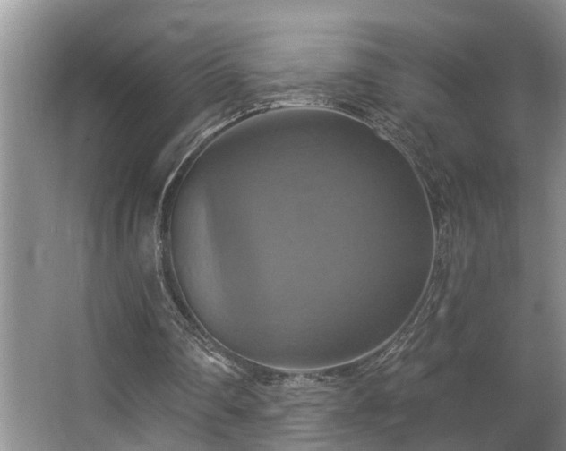 X0000063510290200601201446