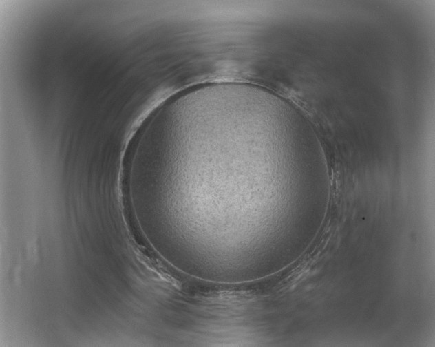 X0000063510292200601201446