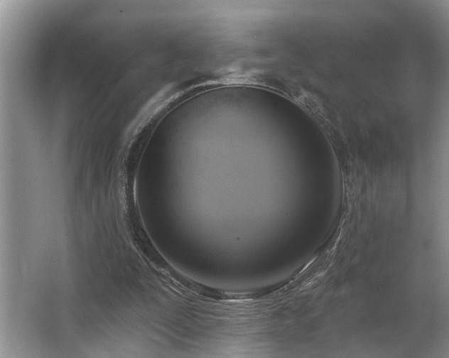 X0000063510295200601201446
