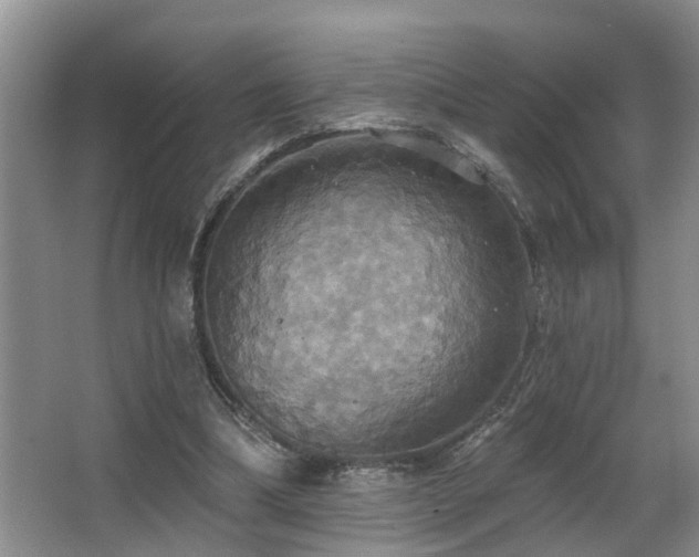X0000063510298200601201446