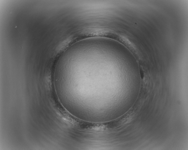 X0000063510306200601201446