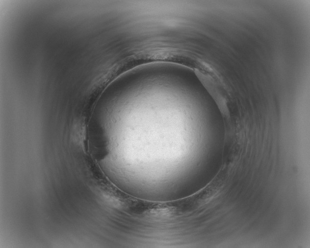 X0000063510307200601201446