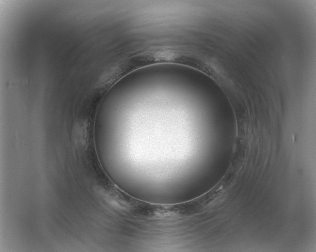 X0000063510311200601201446