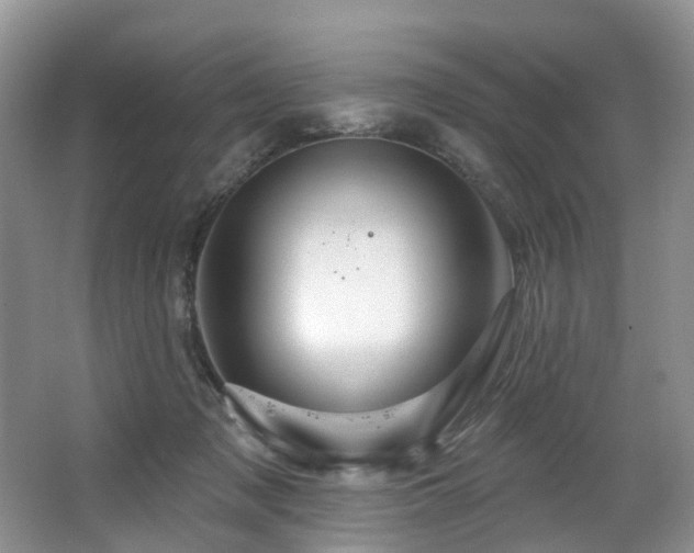X0000063510317200601201445