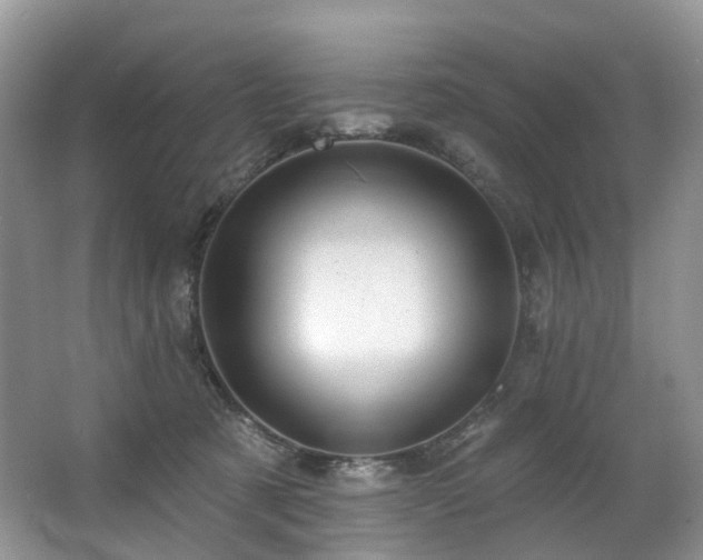 X0000063510321200601201445