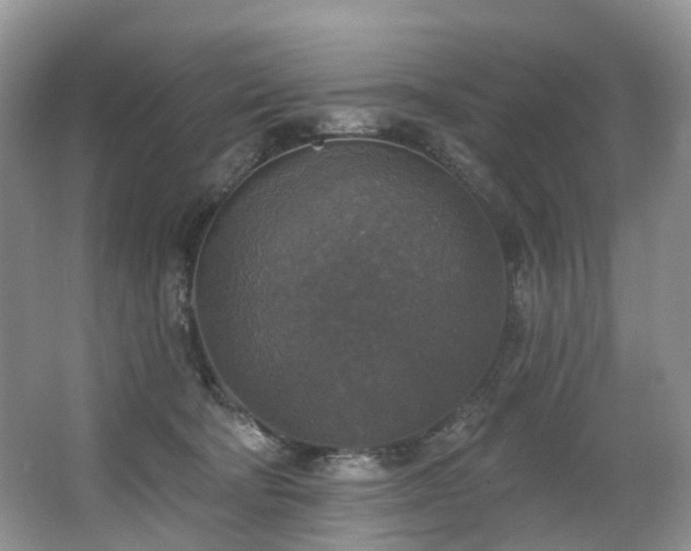 X0000063510322200601201445