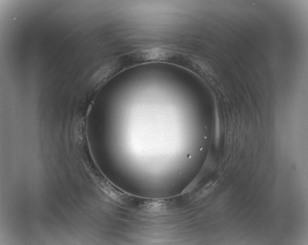 X0000063510325200601201445