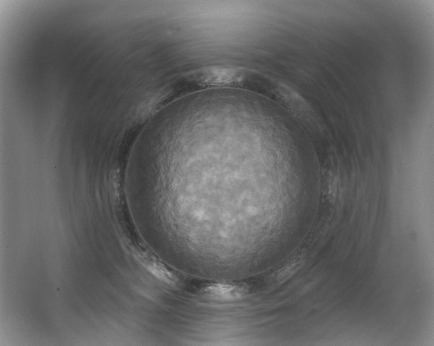 X0000063510326200601201445