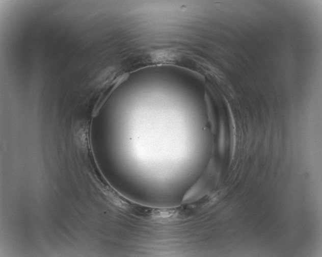 X0000063510329200601201445