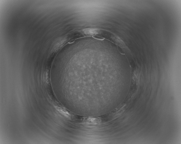 X0000063510330200601201445