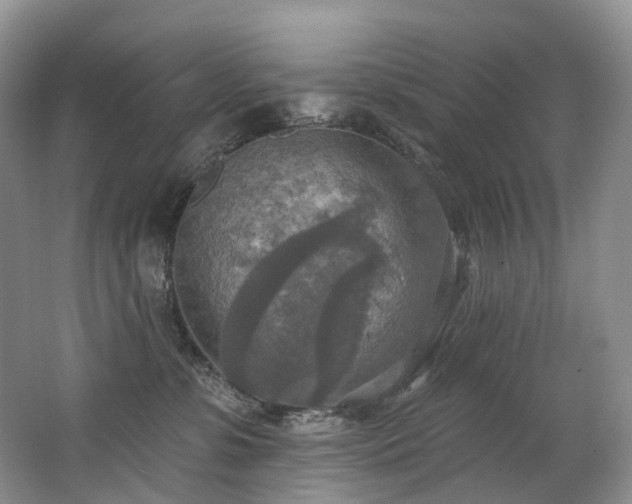 X0000063510331200601201445
