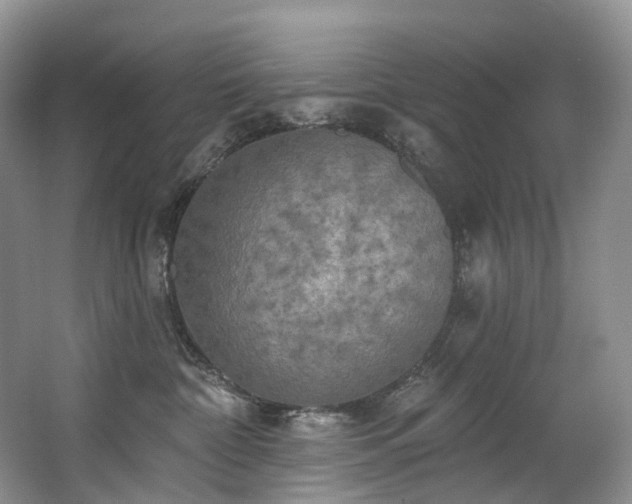 X0000063510332200601201445