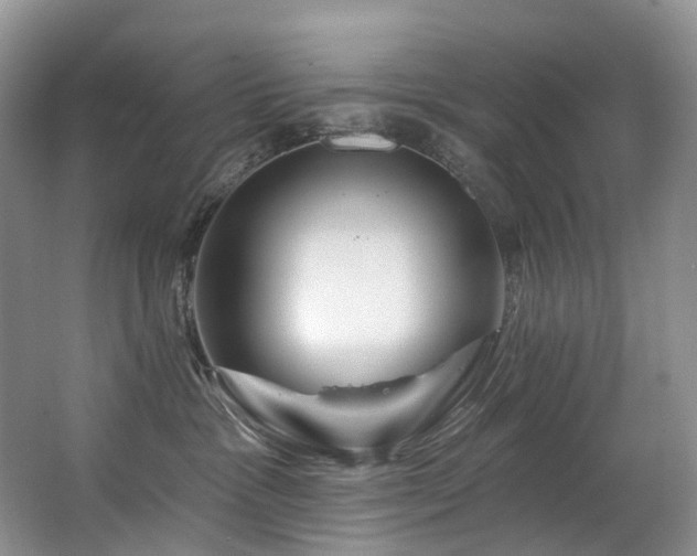 X0000063510333200601201445