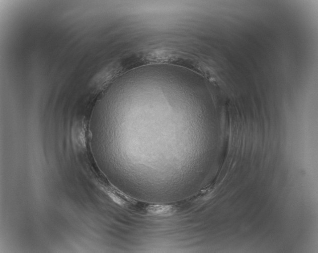 X0000063510334200601201445