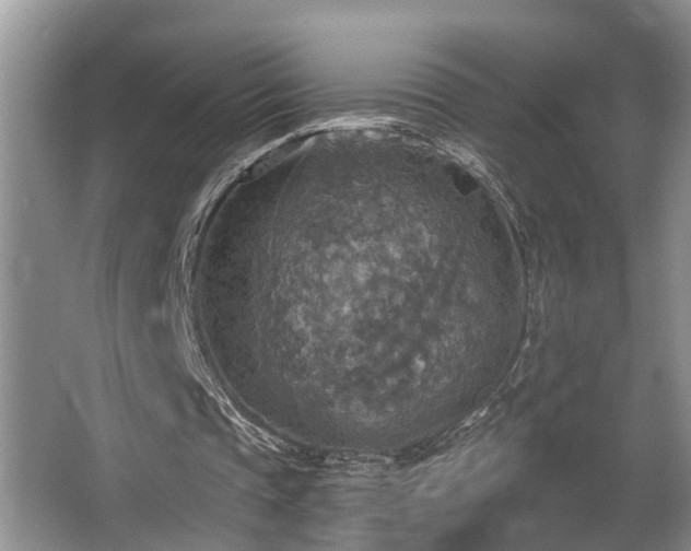 X0000063510337200601201444