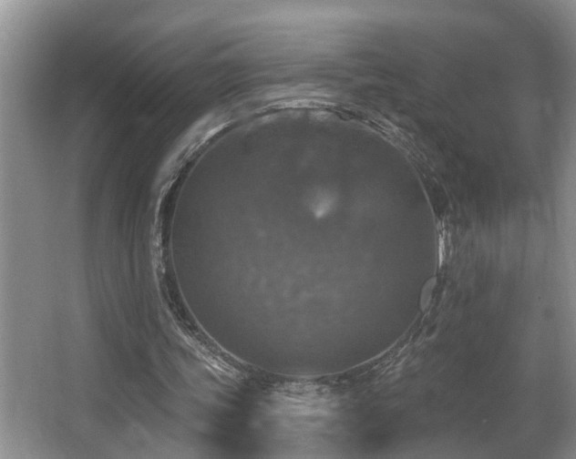 X0000063510339200601201444