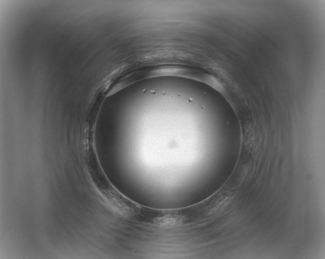 X0000063510356200601201445