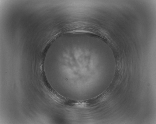 X0000063510363200601201445