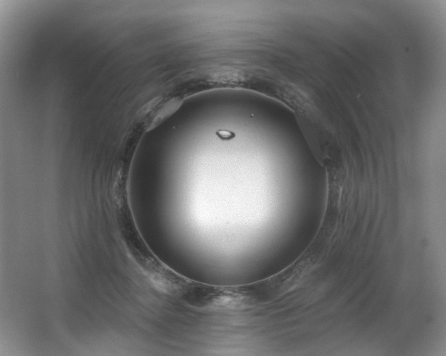 X0000063510364200601201445
