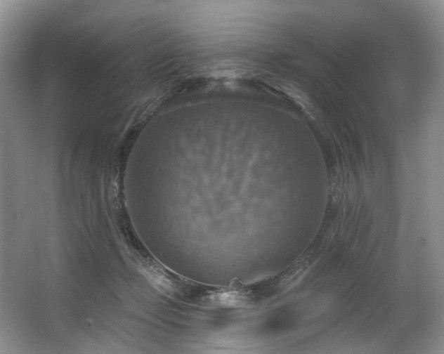 X0000063510365200601201445
