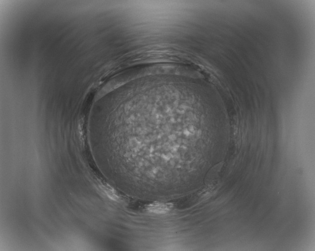 X0000063510373200601201445