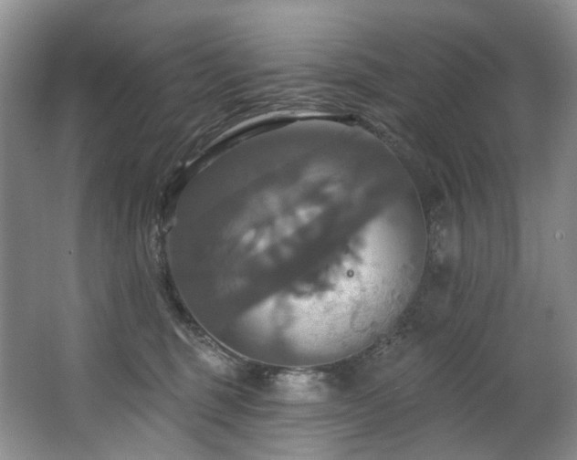 X0000063510375200601201445