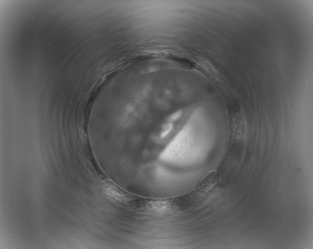 X0000063510377200601201445