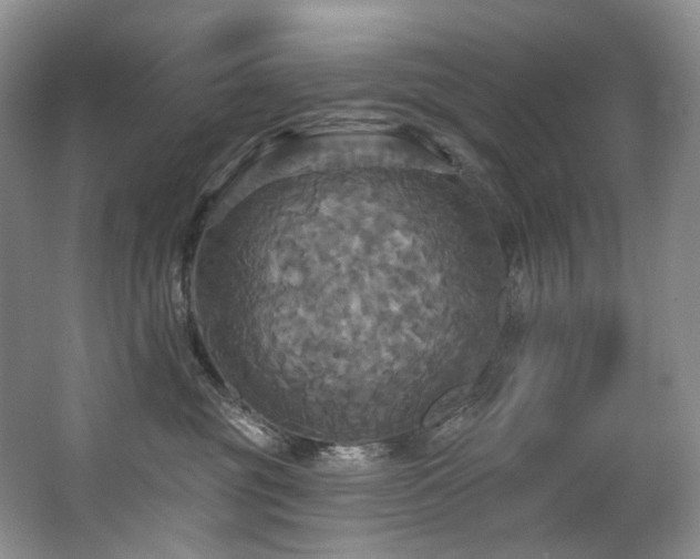 X0000063510381200601201445