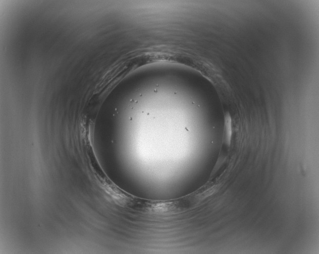 X0000063510382200601201445