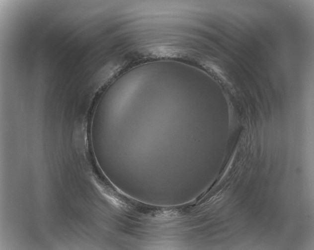 X0000063510398200601201444