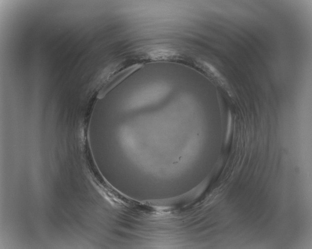 X0000063510405200601201444