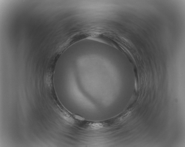 X0000063510409200601201444
